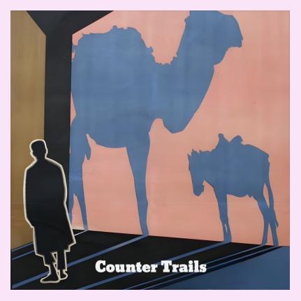 LCC - Counter Trails