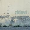 zidovi